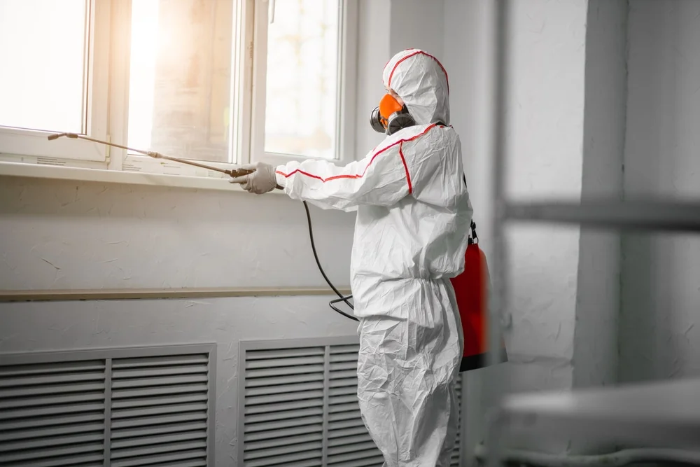 Professional mold remediation services in Clermont, FL